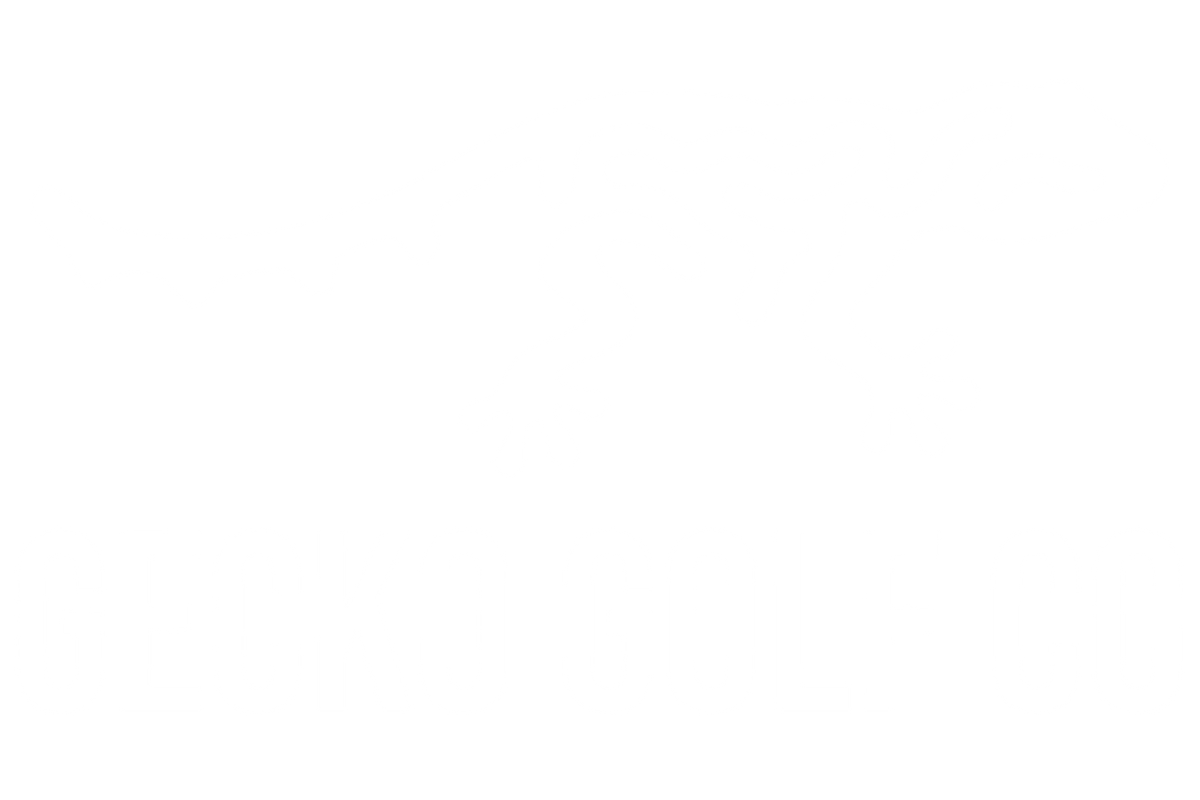 Gecko Golf Company, LLC